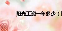 陽光工資一年多少(陽光工資)