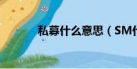 私募什么意思(SM什么意思)