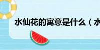 水仙花的寓意是什么(水仙花的寓意)