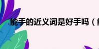 能手的近義詞是好手嗎(能手的近義詞)