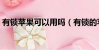 有鎖蘋果可以用嗎(有鎖的蘋果手機能用嗎)
