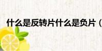 什么是反轉片什么是負片(什么是反轉片)