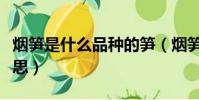 煙筍是什么品種的筍(煙筍是一風塵吸張的意思)