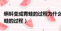 蝌蚪變成青蛙的過程為什么會死(蝌蚪變成青蛙的過程)