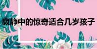 寂靜中的驚奇適合幾歲孩子(寂靜中的驚奇)