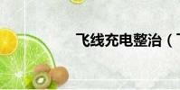 飛線充電整治(飛線)