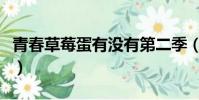 青春草莓蛋有沒有第二季(青春草莓蛋第二季)