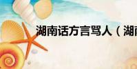 湖南話方言罵人(湖南話方言)