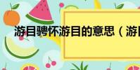 游目騁懷游目的意思(游目騁懷的意思)