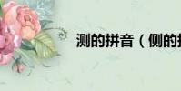 測的拼音(側的拼音)