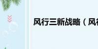 風行三新戰略(風行三國)