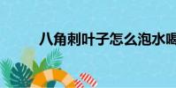 八角刺葉子怎么泡水喝(八角刺)
