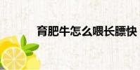 育肥牛怎么喂長膘快(育肥牛)