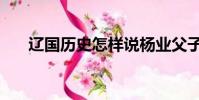 遼國歷史怎樣說楊業父子(遼國歷史)