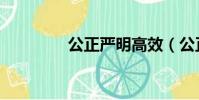 公正嚴明高效(公正嚴明)