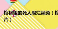 棺材里的死人腐爛視頻(棺材里的死人腐爛圖片)