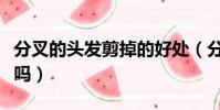分叉的頭發剪掉的好處(分叉的頭發一定要剪嗎)