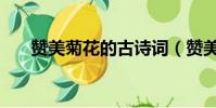 贊美菊花的古詩詞(贊美菊花的古詩)