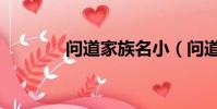 問道家族名小(問道家族名)