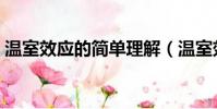 溫室效應的簡單理解(溫室效應是什么意思)