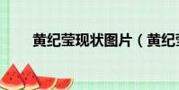 黃紀瑩現狀圖片(黃紀瑩結婚了嗎)