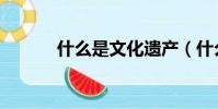 什么是文化遺產(什么是文化)