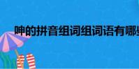 呻的拼音組詞組詞語有哪些(呻的拼音)