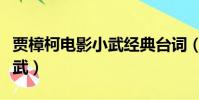 賈樟柯電影小武經典臺詞(關于賈樟柯電影小武)