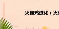 火稚雞進化(火稚雞)