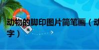 動物的腳印圖片簡筆畫(動物的腳印圖案跟名字)