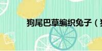 狗尾巴草編織兔子(狗尾巴草)