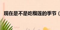 現在是不是吃榴蓮的季節(吃榴蓮的季節)