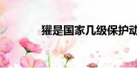 獾是國家幾級保護動物(獾)