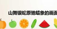 山舞銀蛇原馳蠟象的畫面(山舞銀蛇)