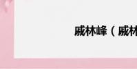 戚林峰(戚林)