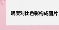 明度對比色彩構成圖片(明度對比)