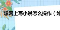 想網上寫小說怎么操作(如何網上寫小說)
