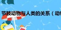 節肢動物與人類的關系(動物與人類的關系)