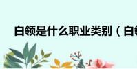 白領是什么職業類別(白領是什么職業)