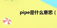pipe是什么意思(pipes)