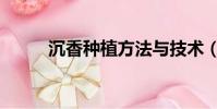 沉香種植方法與技術(沉香種植)