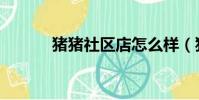 豬豬社區店怎么樣(豬豬社區)