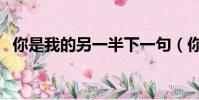 你是我的另一半下一句(你是我的另一半)