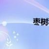 棗樹種植季節（棗樹種植）