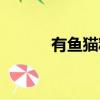 有魚貓糧什么檔次（有魚貓糧）