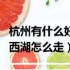 杭州有什么好玩的地方景點推薦（杭州東站到西湖怎么走）