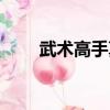武術高手真實打架視頻（武術高手）