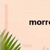 morrow什么意思（morro）