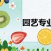 園藝專業考研科目有哪些（園藝）