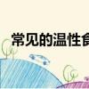 常見的溫性食物有哪些（溫性食物有哪些）